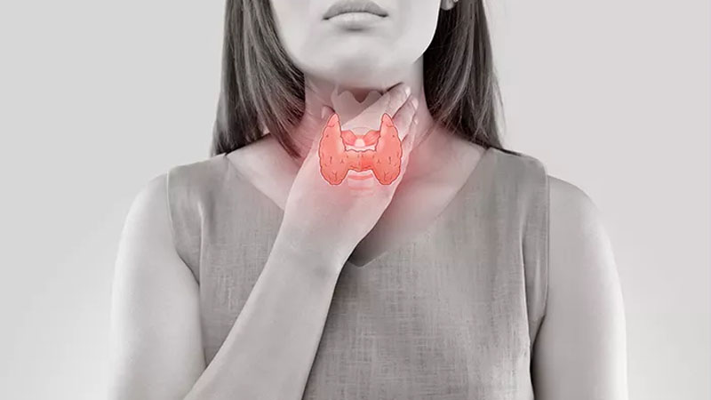 Gangguan Tiroid Gejala yang Sering Disalahpahami dan Dampaknya pada Metabolisme – PAFI Kab. Lebong